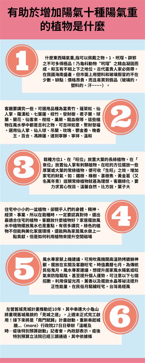 陽氣重的東西|陽氣最強的樹是什麼樹，盤點10大陽氣很重的植物